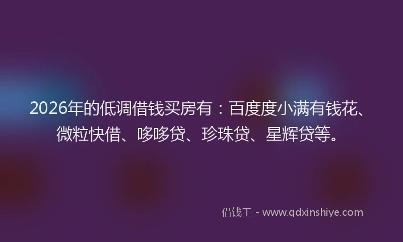 2026年的低调借钱买房有：百度度小满有钱花、微粒快借、哆哆贷、珍珠贷、星辉贷等。