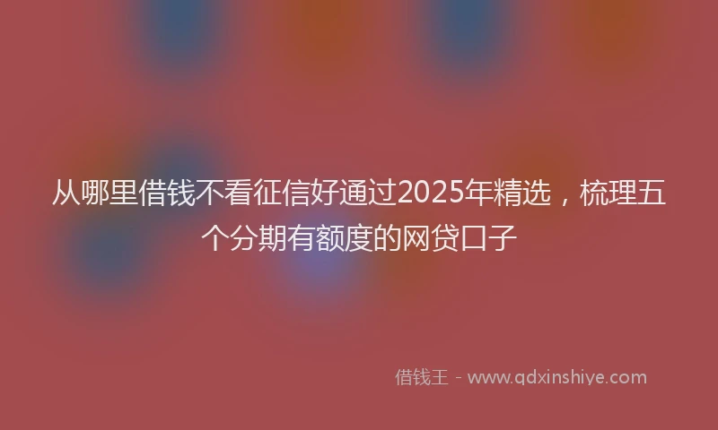 从哪里借钱不看征信好通过2025年精选，梳理五个分期有额度的网贷口子