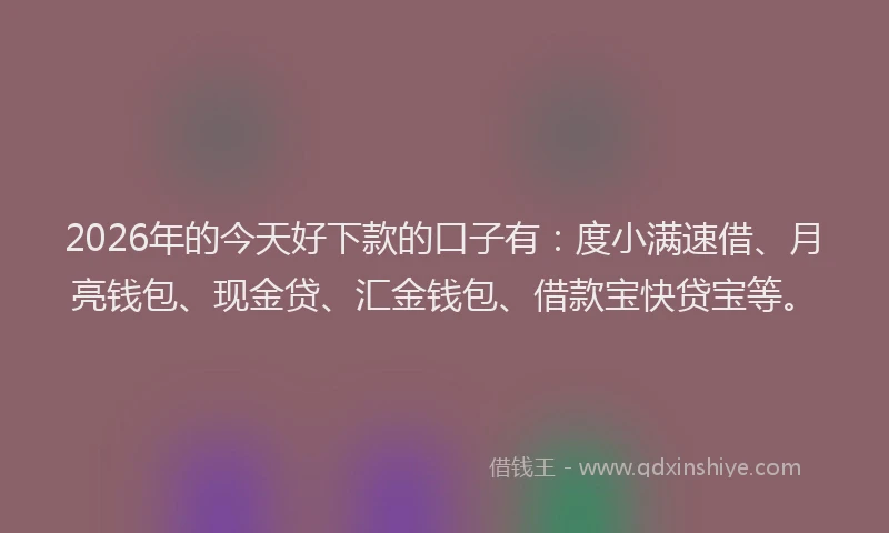 2026年的今天好下款的口子有：度小满速借、月亮钱包、现金贷、汇金钱包、借款宝快贷宝等。