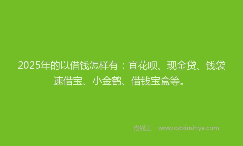 2025年的以借钱怎样有：宜花呗、现金贷、钱袋速借宝、小金鹤、借钱宝盒等。