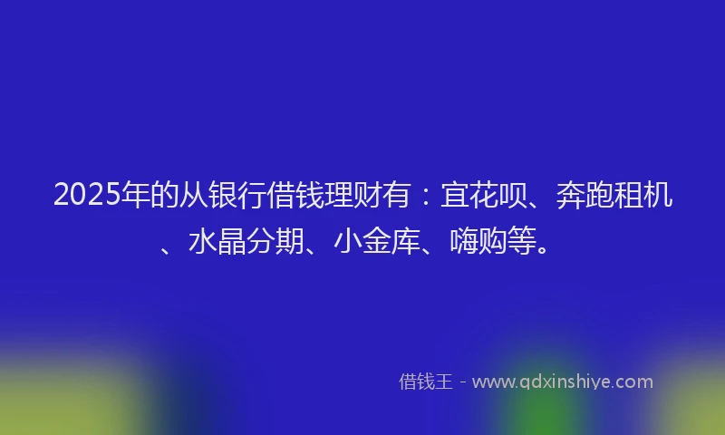 2025年的从银行借钱理财有:宜花呗、奔跑租机、水晶分期、小金库、嗨购等。