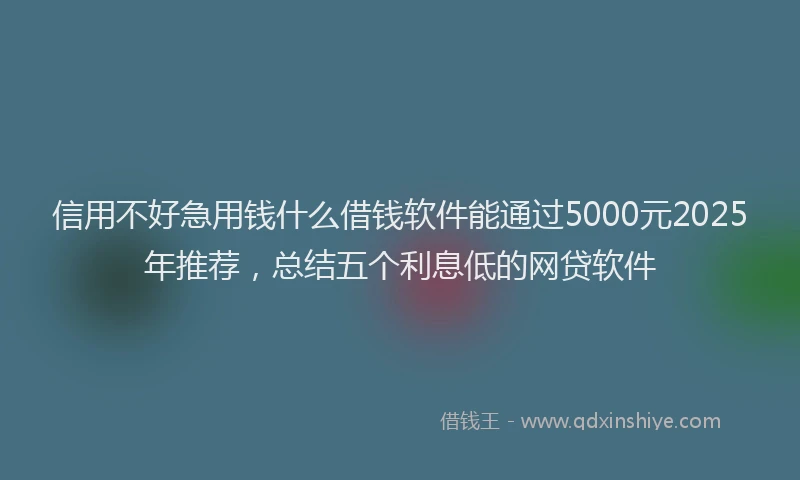 信用不好急用钱什么借钱软件能通过5000元2025年推荐，总结五个利息低的网贷软件