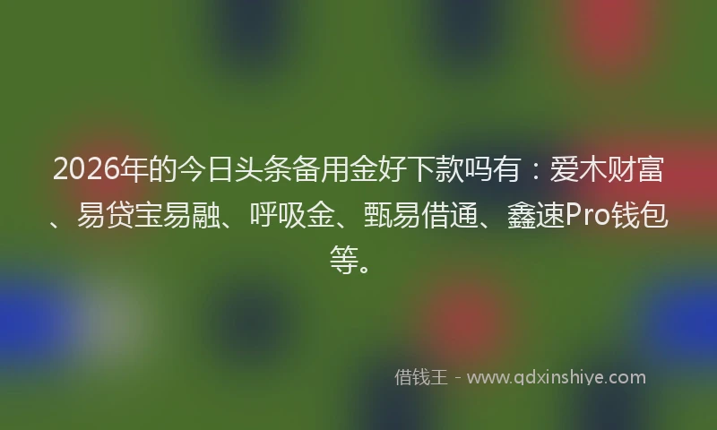 2026年的今日头条备用金好下款吗有:爱木财富、易贷宝易融、呼吸金、甄易借通、鑫速Pro钱包等。
