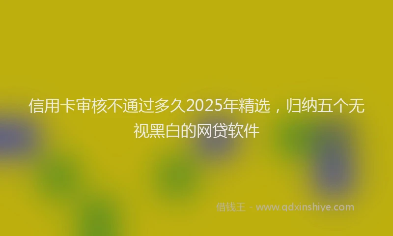 信用卡审核不通过多久2025年精选，归纳五个无视黑白的网贷软件