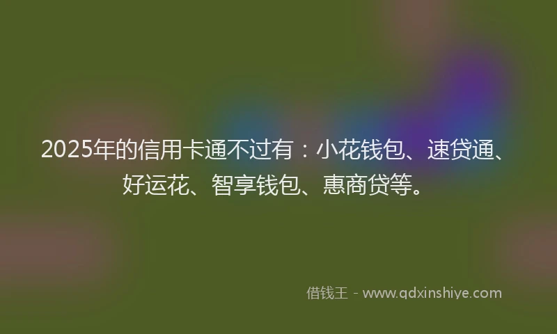 2025年的信用卡通不过有：小花钱包、速贷通、好运花、智享钱包、惠商贷等。