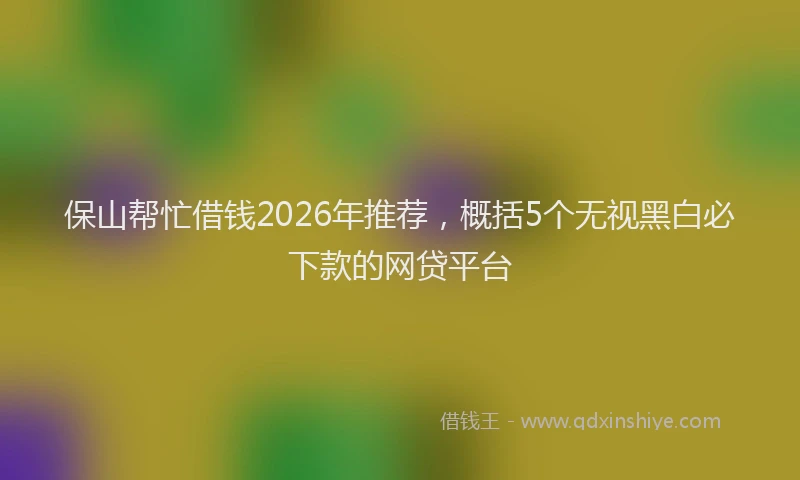 保山帮忙借钱2026年推荐，概括5个无视黑白必下款的网贷平台