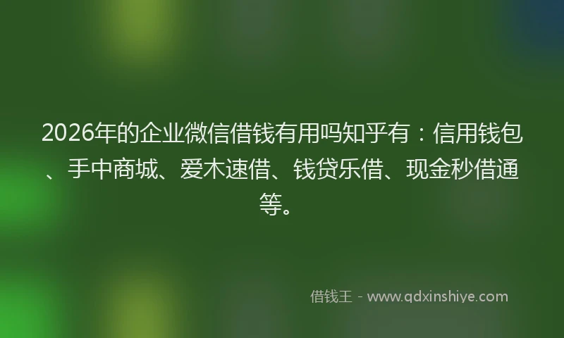 2026年的企业微信借钱有用吗知乎有：信用钱包、手中商城、爱木速借、钱贷乐借、现金秒借通等。