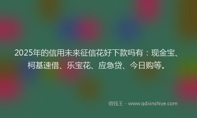2025年的信用未来征信花好下款吗有：现金宝、柯基速借、乐宝花、应急贷、今日购等。