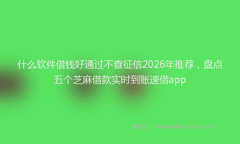 什么软件借钱好通过不查征信2026年推荐，盘点五个芝麻借款实时到账速借app