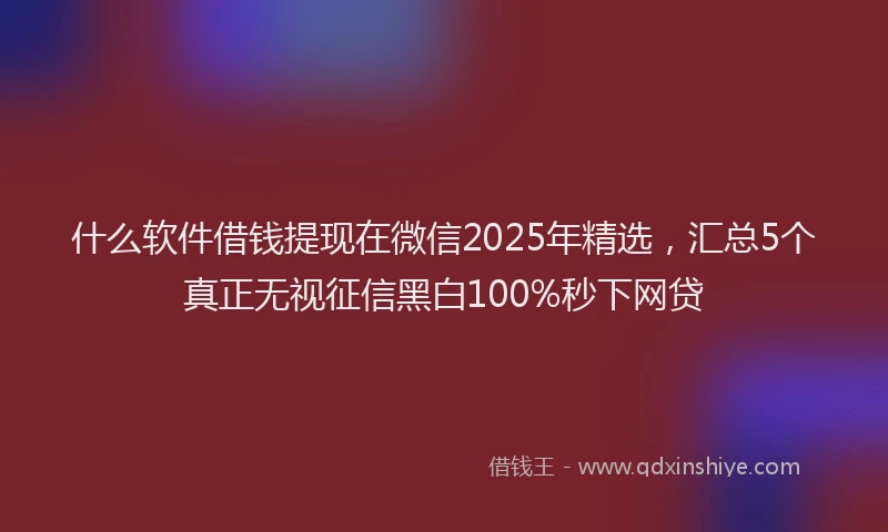 什么软件借钱提现在微信2025年精选，汇总5个真正无视征信黑白100%秒下网贷
