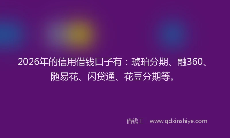 2026年的信用借钱口子有：琥珀分期、融360、随易花、闪贷通、花豆分期等。