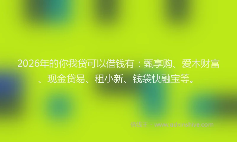2026年的你我贷可以借钱有：甄享购、爱木财富、现金贷易、租小新、钱袋快融宝等。