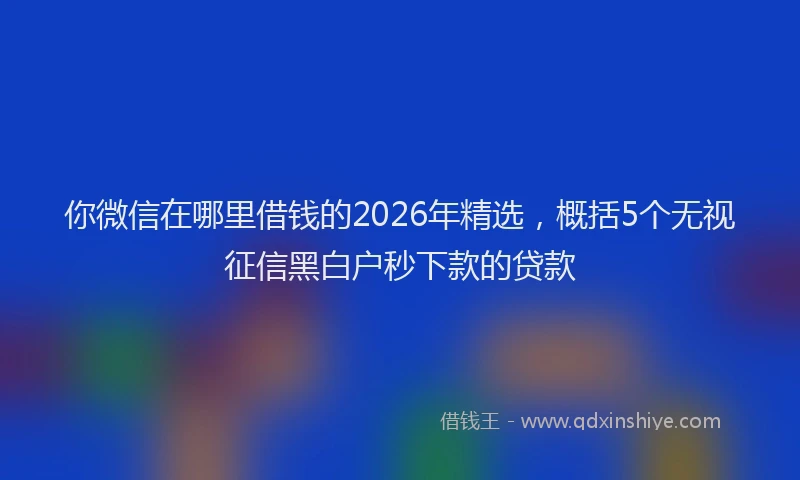 你微信在哪里借钱的2026年精选，概括5个无视征信黑白户秒下款的贷款