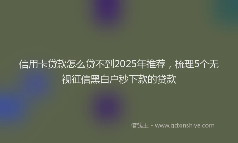 信用卡贷款怎么贷不到2025年推荐，梳理5个无视征信黑白户秒下款的贷款