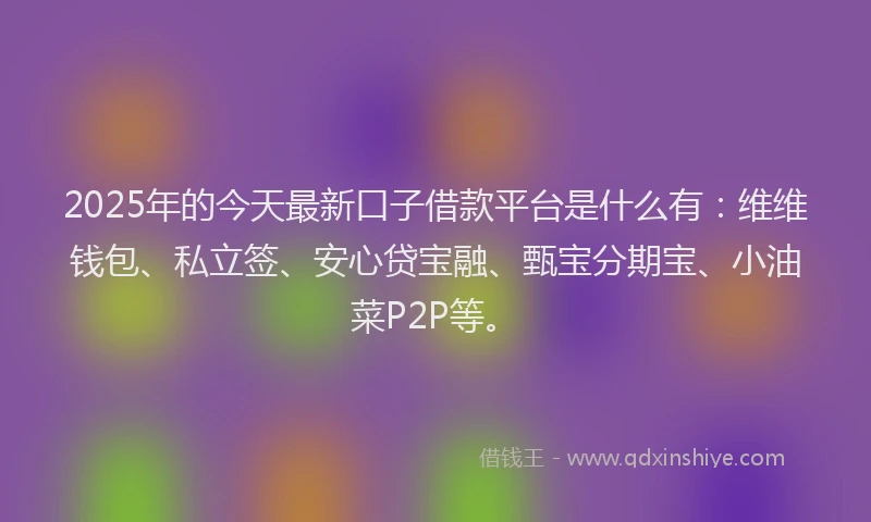 2025年的今天最新口子借款平台是什么有：维维钱包、私立签、安心贷宝融、甄宝分期宝、小油菜P2P等。