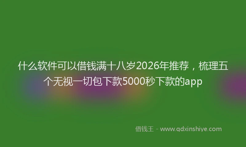 什么软件可以借钱满十八岁2026年推荐，梳理五个无视一切包下款5000秒下款的app