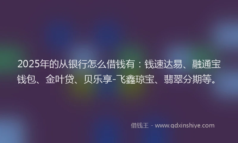 2025年的从银行怎么借钱有:钱速达易、融通宝钱包、金叶贷、贝乐享-飞鑫琼宝、翡翠分期等。