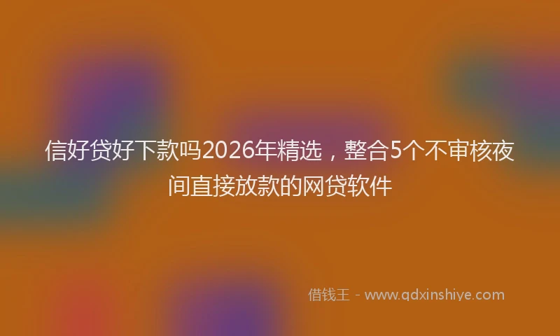 信好贷好下款吗2026年精选，整合5个不审核夜间直接放款的网贷软件