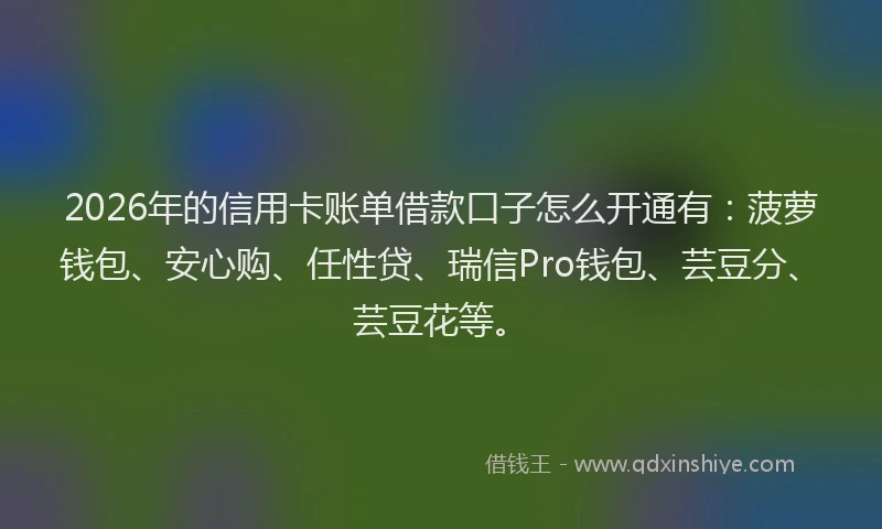 2026年的信用卡账单借款口子怎么开通有：菠萝钱包、安心购、任性贷、瑞信Pro钱包、芸豆分、芸豆花等。