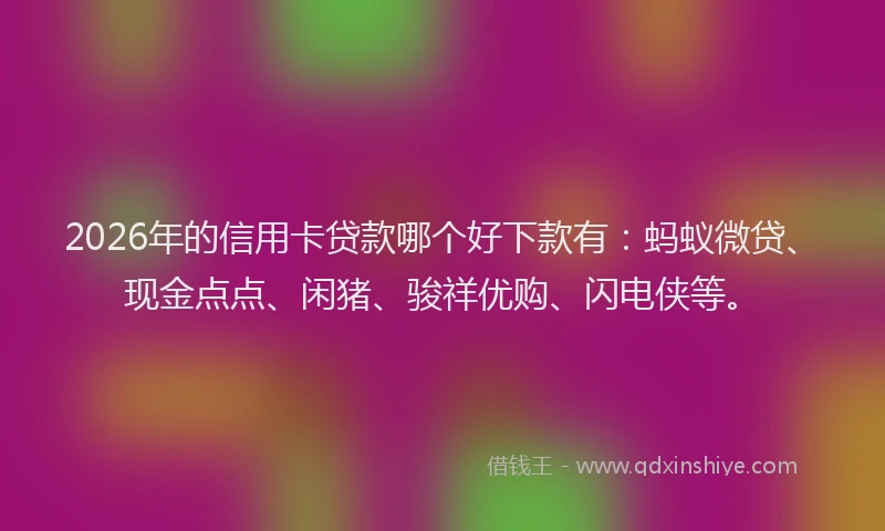 2026年的信用卡贷款哪个好下款有：蚂蚁微贷、现金点点、闲猪、骏祥优购、闪电侠等。
