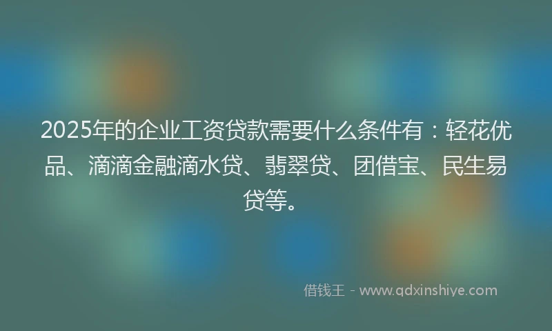 2025年的企业工资贷款需要什么条件有:轻花优品、滴滴金融滴水贷、翡翠贷、团借宝、民生易贷等。