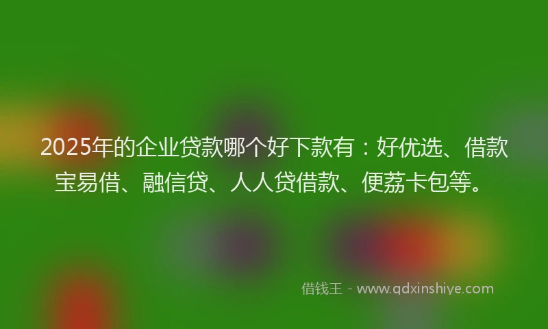 2025年的企业贷款哪个好下款有：好优选、借款宝易借、融信贷、人人贷借款、便荔卡包等。