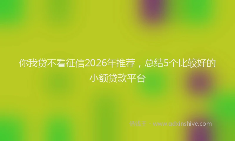 你我贷不看征信2026年推荐，总结5个比较好的小额贷款平台