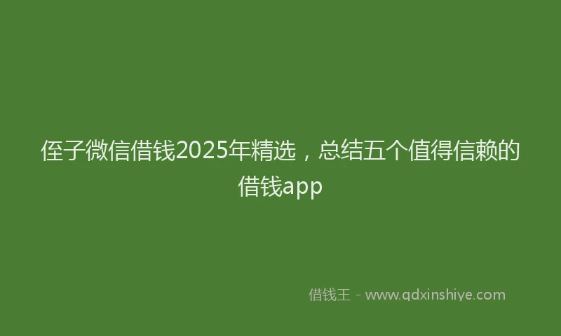 侄子微信借钱2025年精选，总结五个值得信赖的借钱app