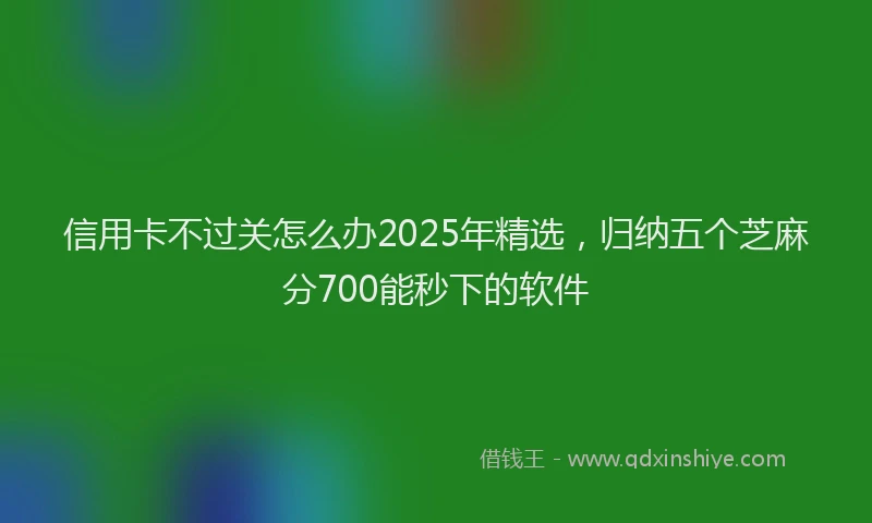 信用卡不过关怎么办2025年精选，归纳五个芝麻分700能秒下的软件