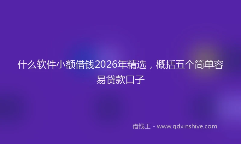 什么软件小额借钱2026年精选，概括五个简单容易贷款口子