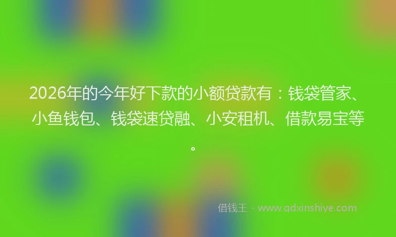 2026年的今年好下款的小额贷款有:钱袋管家、小鱼钱包、钱袋速贷融、小安租机、借款易宝等。