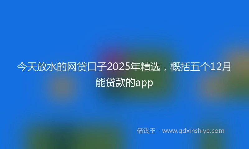 今天放水的网贷口子2025年精选，概括五个12月能贷款的app