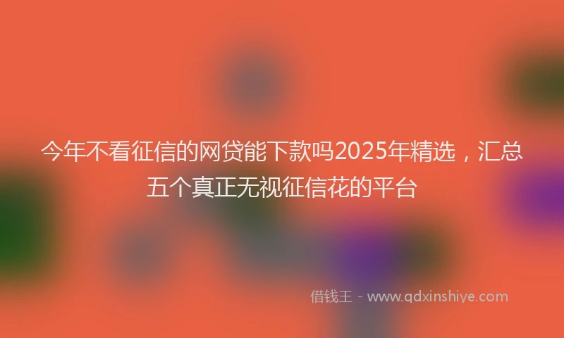 今年不看征信的网贷能下款吗2025年精选，汇总五个真正无视征信花的平台