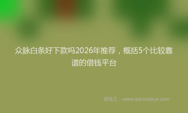 众脉白条好下款吗2026年推荐，概括5个比较靠谱的借钱平台