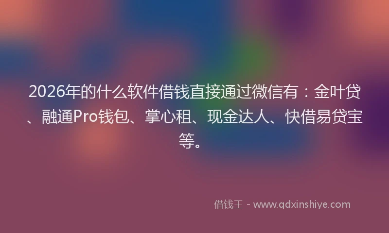 2026年的什么软件借钱直接通过微信有：金叶贷、融通Pro钱包、掌心租、现金达人、快借易贷宝等。