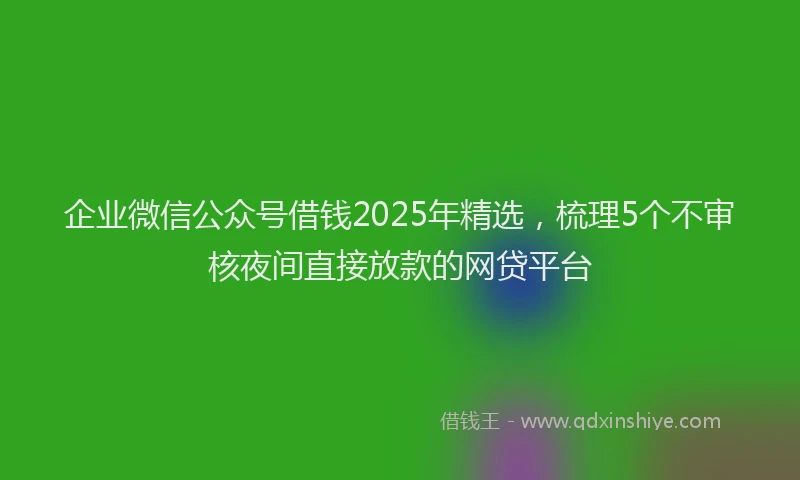 企业微信公众号借钱2025年精选,梳理5个不审核夜间直接放款的网贷平台