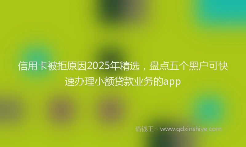 信用卡被拒原因2025年精选，盘点五个黑户可快速办理小额贷款业务的app