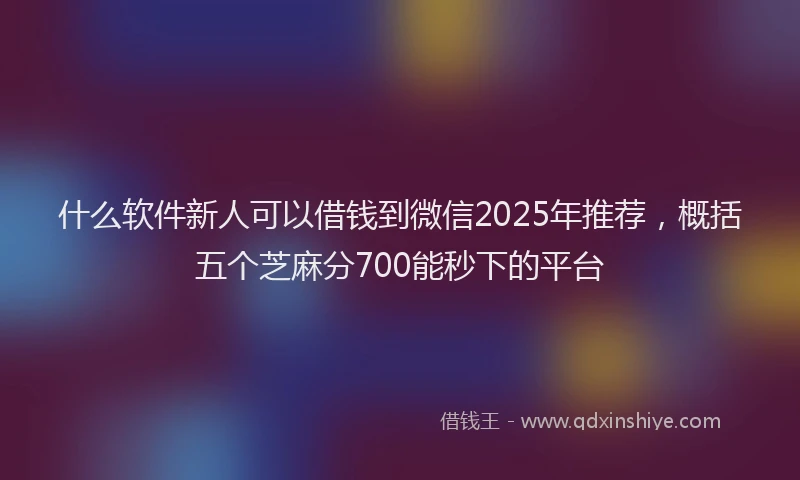 什么软件新人可以借钱到微信2025年推荐，概括五个芝麻分700能秒下的平台