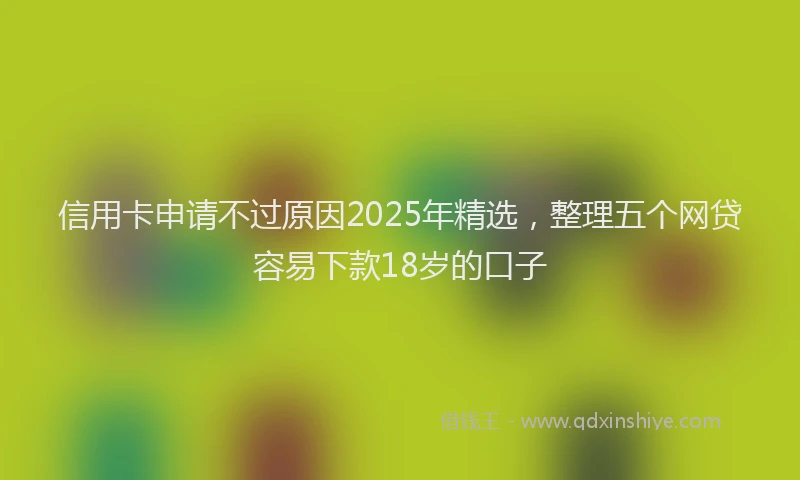 信用卡申请不过原因2025年精选，整理五个网贷容易下款18岁的口子