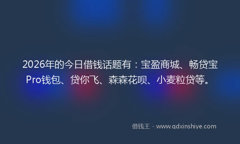 2026年的今日借钱话题有:宝盈商城、畅贷宝Pro钱包、贷你飞、森森花呗、小麦粒贷等。