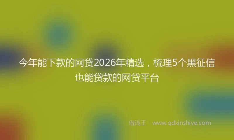 今年能下款的网贷2026年精选，梳理5个黑征信也能贷款的网贷平台