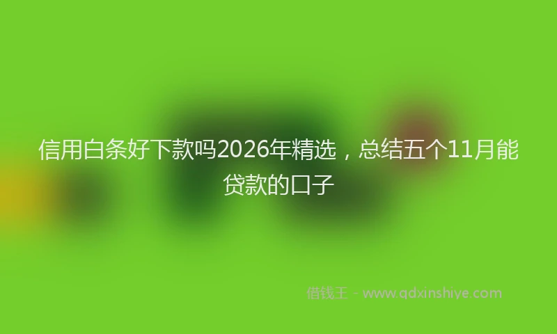信用白条好下款吗2026年精选,总结五个11月能贷款的口子