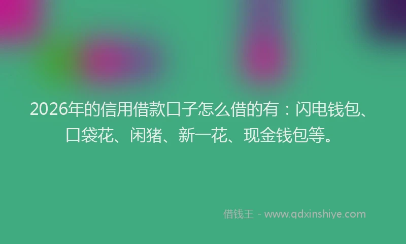 2026年的信用借款口子怎么借的有：闪电钱包、口袋花、闲猪、新一花、现金钱包等。