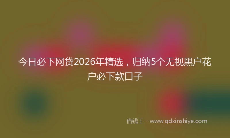 今日必下网贷2026年精选，归纳5个无视黑户花户必下款口子