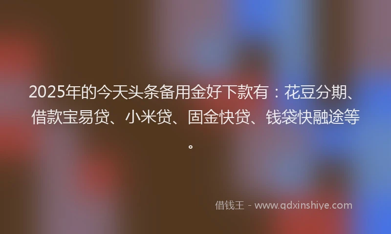 2025年的今天头条备用金好下款有：花豆分期、借款宝易贷、小米贷、固金快贷、钱袋快融途等。