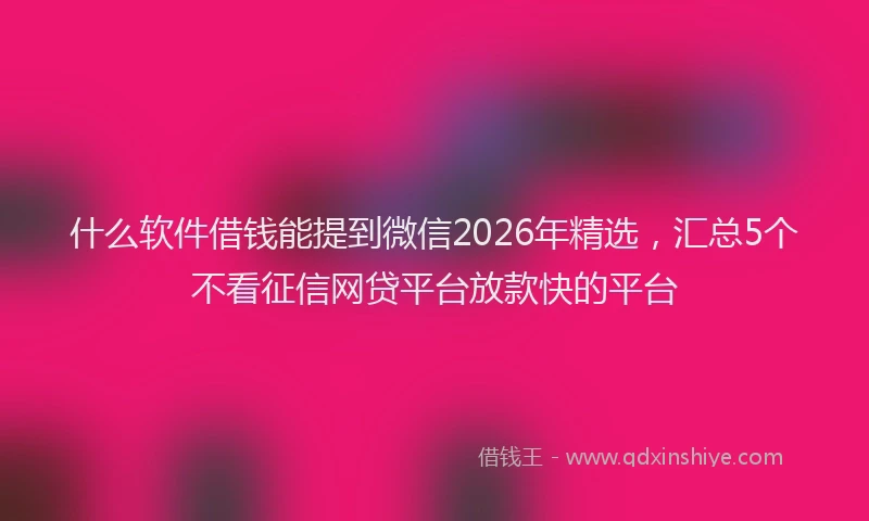 什么软件借钱能提到微信2026年精选，汇总5个不看征信网贷平台放款快的平台