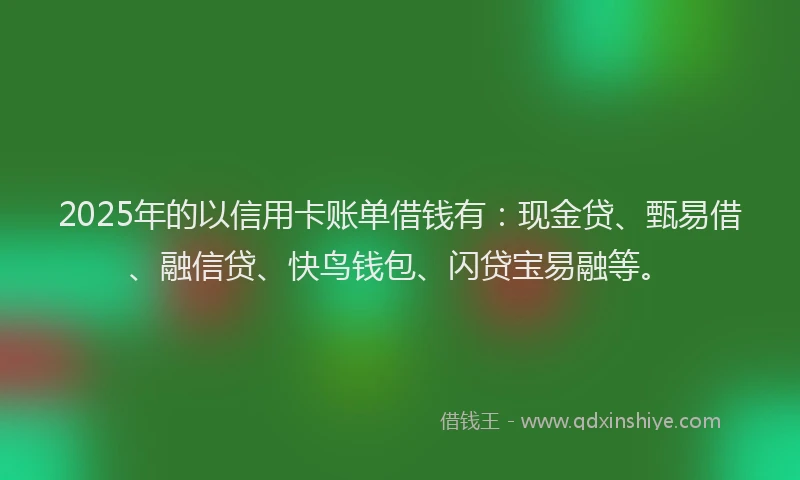 2025年的以信用卡账单借钱有：现金贷、甄易借、融信贷、快鸟钱包、闪贷宝易融等。