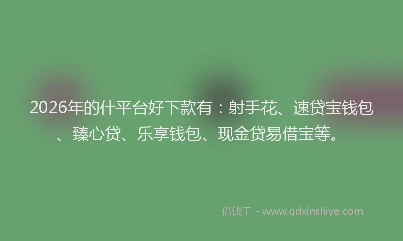 2026年的什平台好下款有：射手花、速贷宝钱包、臻心贷、乐享钱包、现金贷易借宝等。