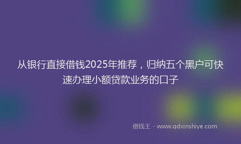 从银行直接借钱2025年推荐,归纳五个黑户可快速办理小额贷款业务的口子