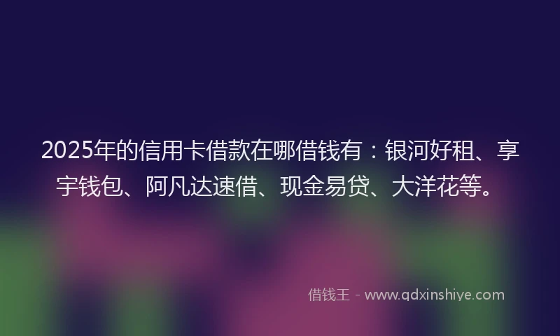 2025年的信用卡借款在哪借钱有：银河好租、享宇钱包、阿凡达速借、现金易贷、大洋花等。